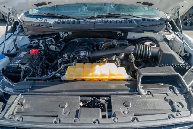 
								2020 Ford F150 Regular Cab XL Pickup 2D 8 ft full									